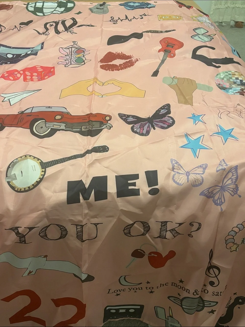 Taylor Swift Shower Curtain
